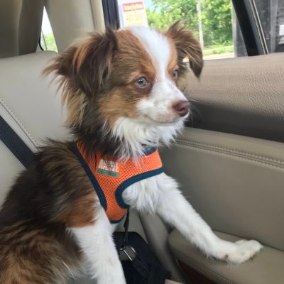 05omt's profile picture. Just empty calories and male curiosity.