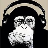 chimp_caray (@caraychimp) 's Twitter Profile Photo chimp_caray (@caraychimp) 's Twitter Profile Photo