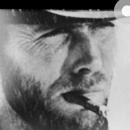 Nevadali0401's profile picture. Haydi çocuklar gitmeliyiz.. bizler aranan bir Vatanseveriz...