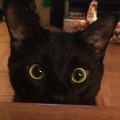 headhunter242's profile picture. 