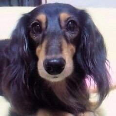 PnXMrv4wMHvmUil's profile picture. 