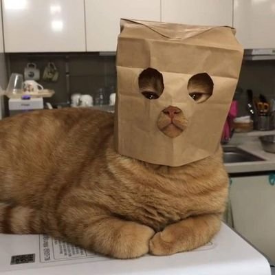 Aumploy1's profile picture. 