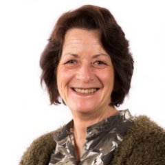 cvhnvh's profile picture. 