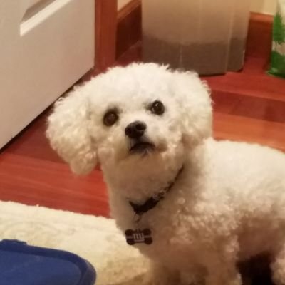 sunsima123's profile picture. 