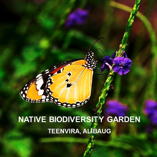 The Native Biodiversity Garden is an earnest attempt to conserve nature and attract native species of flora and fauna back into our ecosystems. Free entry