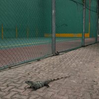 Jon Zabala (@jonzabala) 's Twitter Profile