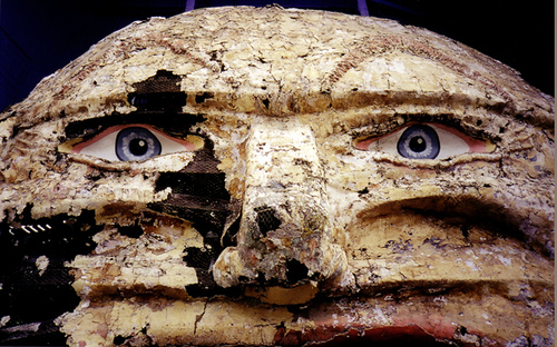 rdzinger's profile picture. try to imagine the world one frame at a time