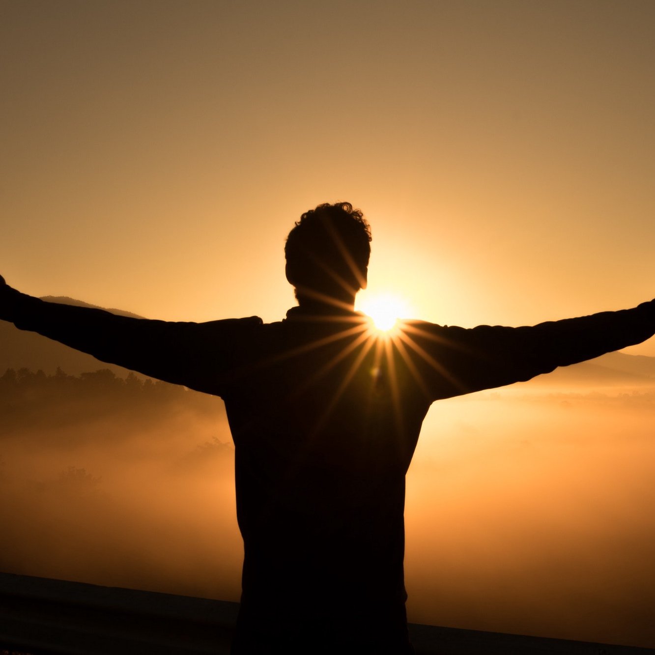 Prince79735238's profile picture. 