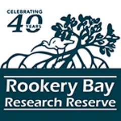 Rookery Bay Research Reserve protects 110,000 acres with a mission to promote informed stewardship of estuaries through research and education.