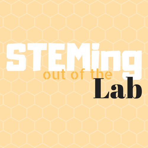 STEMlabs's profile picture. 