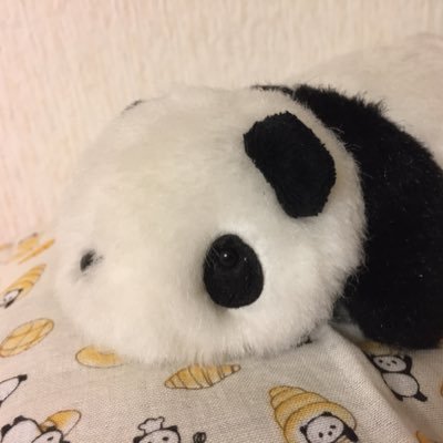 ゆきこんさんのプロフィール画像