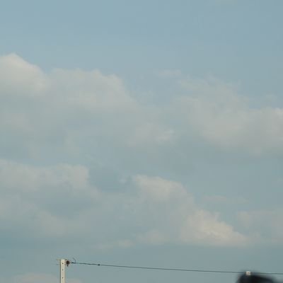 あっCの8割愚痴の趣味と写真の集会所
たまにめっちゃ口悪くなるから嫌な人はF外して下さい😢
無言フォロー失礼します。
ラブリツ多分めっちゃする
ほとんどはフォロバします
#しーふぉと

ピアス/ユーリ/宝石/