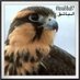 الباشق (@ksa88a87) Twitter profile photo الباشق (@ksa88a87) Twitter profile photo