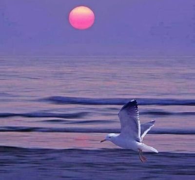 Y7w2k8AXKVjAI5Z's profile picture. اعشق النساء