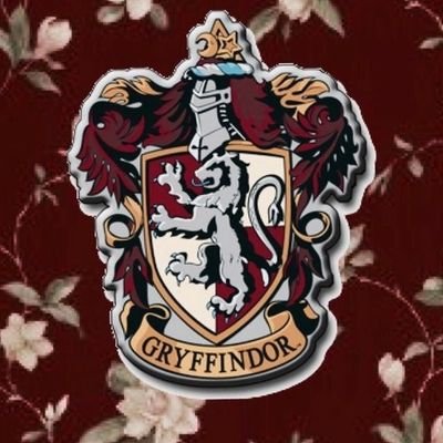 basicart_hoe's profile picture. Just a basic bitch-
potterhead-
Gryffindor-
-you are just as sane as I am-