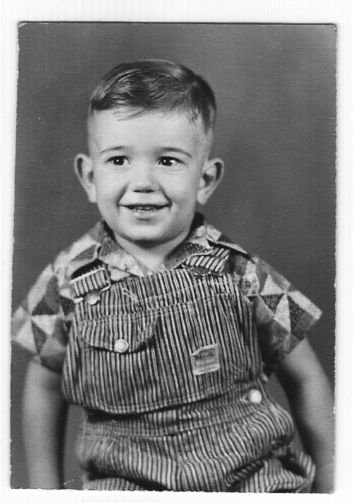 littlebibs's profile picture. Lover and defender of freedom and the Constitution, and combatant of the deceitful and fraudulant mis-application of the income tax laws.