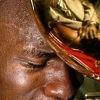 Miguel Angel (@ferdyrodriguez1) 's Twitter Profile