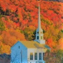 TGCNE's profile picture. 