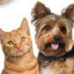 🚚We've moved!📦
Check out our new profile, @NeaterPets.