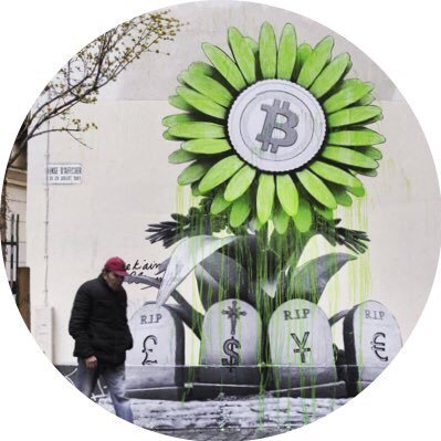 surfincrypto's profile picture. ride the wave