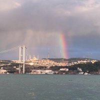Elif Erdem (@z_elif_ozt) 's Twitter Profile