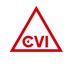CVISociety (@cvisociety) Twitter profile photo CVISociety (@cvisociety) Twitter profile photo