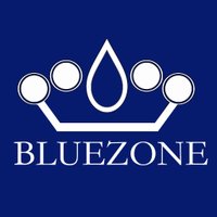 Bluezone(@BlueZoneCompany) 's Twitter Profile Photo