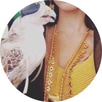 H ☤. (@hissa507) 's Twitter Profile
