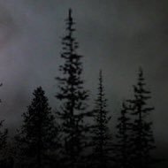 nvnmm57's profile picture. 