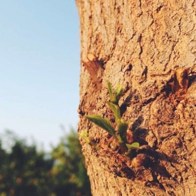 mmm_q19's profile picture. 