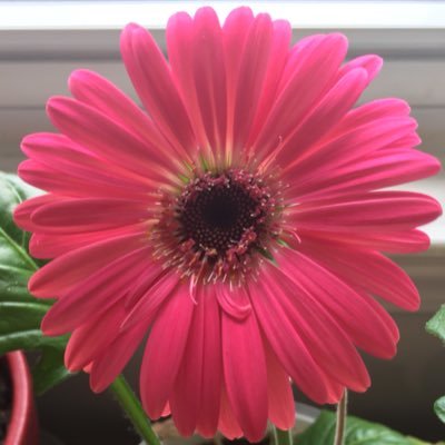 str4ngerc4t's profile picture. go away.