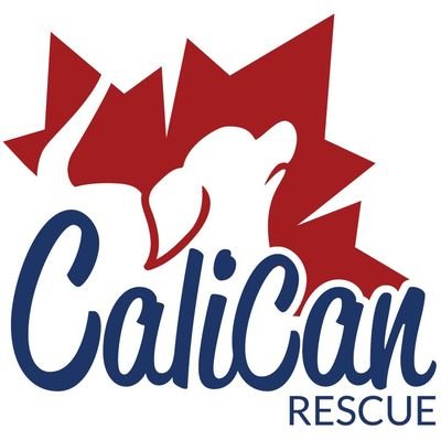 Looking to adopt a small breed dog? We can help! We're also on Facebook!