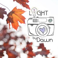 Light By Dawn (@lbdstudios) 's Twitter Profile