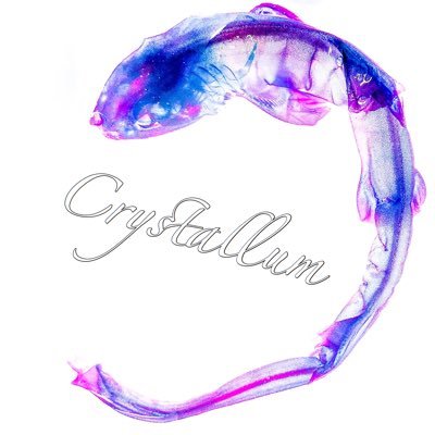ゆとり。/Crystallum@DF61 L61さんのプロフィール画像