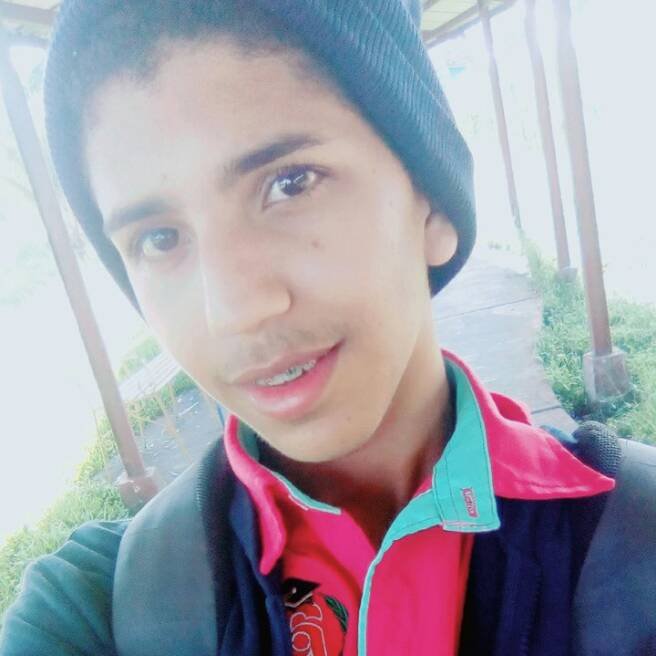 alejand00706554's profile picture. 