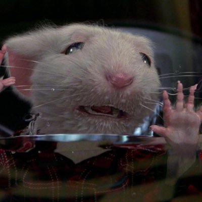 I can’t put into words how much I hate Stuart Little