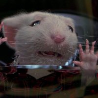 i fucking hate stuart little (@memswitnowords) 's Twitter Profile Photo i fucking hate stuart little (@memswitnowords) 's Twitter Profile Photo