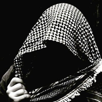 suwitopoms's profile picture. Nocturnal Programming Architect | Live Traveler | Love Photography