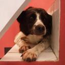 john_ernst - @john_ernst87 - Twitter