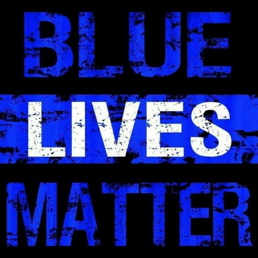 #bluelivesmatter Pro Law Enforcement and other related tweets. 
Future US Air Force