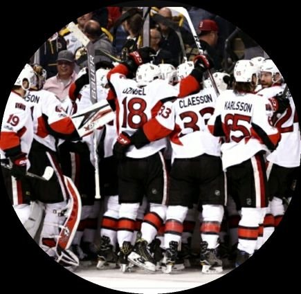 I love the Ottawa Senators..... and I guess the Toronto Raptors.