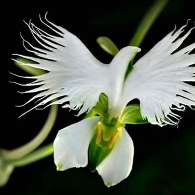 gunwoo0331126's profile picture. we are one