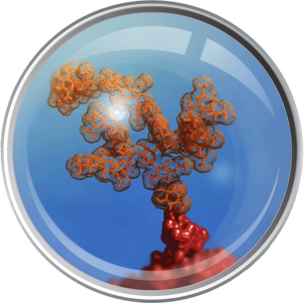 Synthesis, chemical glycobiology, MedChem, host-microbe interaction, germinal center, RNA, post-translational modification… https://t.co/3rZU3TQP1K