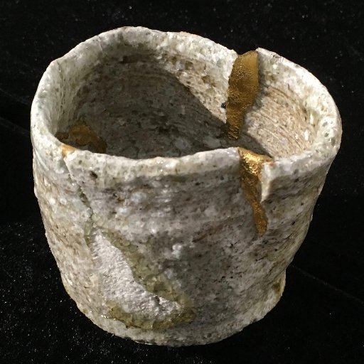 Guido Tintori Profile