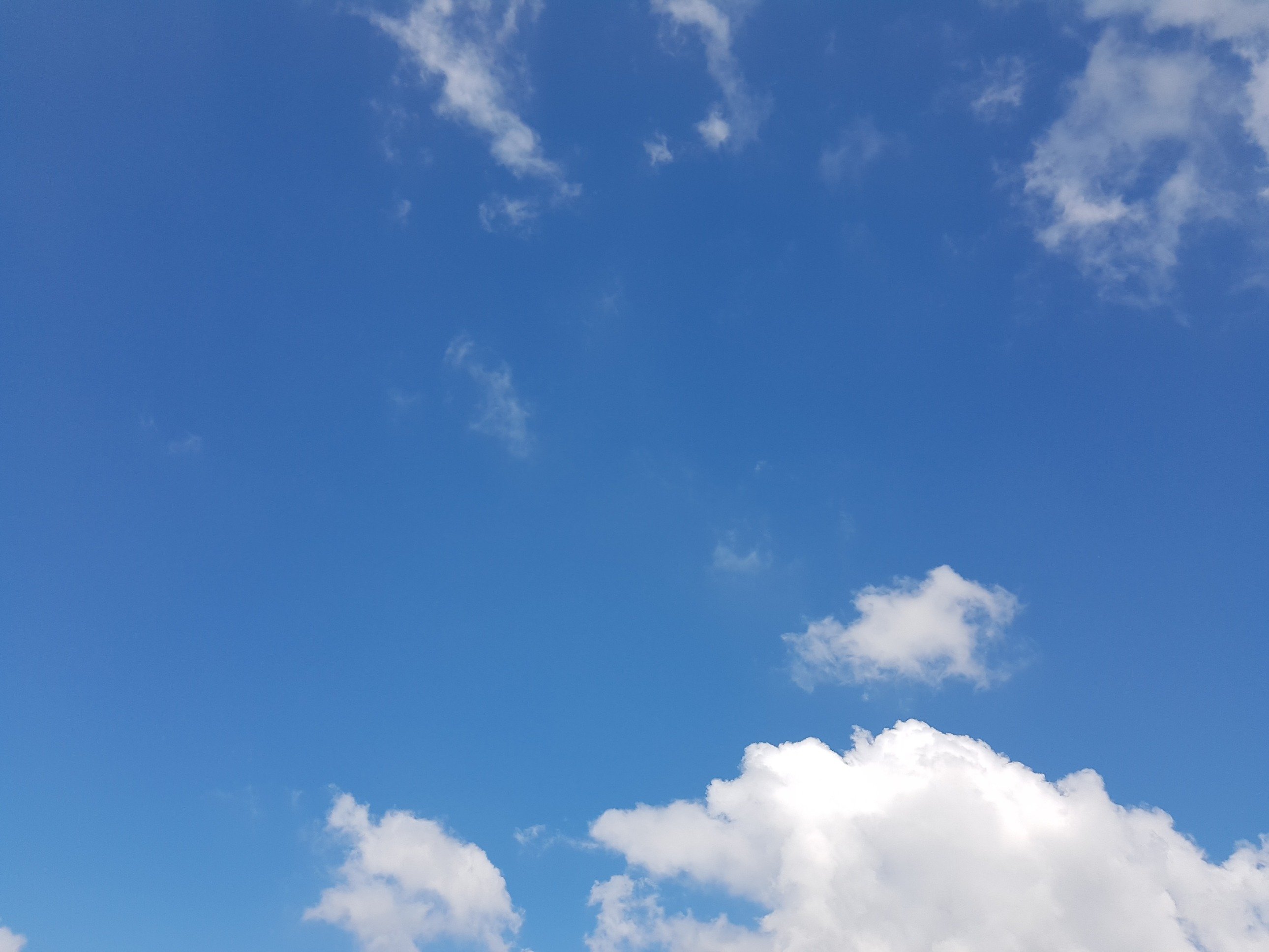 ZV5IbFngquXGRT5's profile picture. 