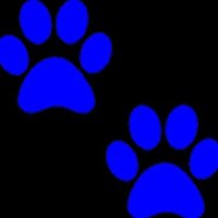 Bengals Boys Hoops (@hoopsbengals) 's Twitter Profile