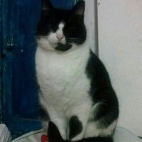 Davbox (@davbox291) 's Twitter Profile