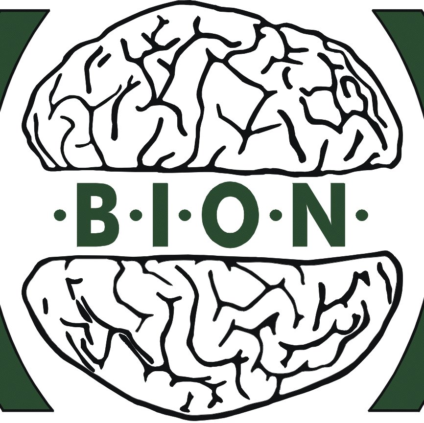 BION Research