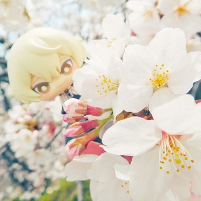 四季さんのプロフィール画像
