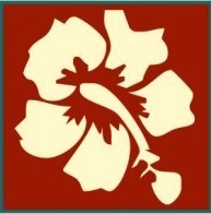 ovhotel's profile picture. Come visit the newest hotel in Surfside Beach, TX.  Follow us on twitter for specials.